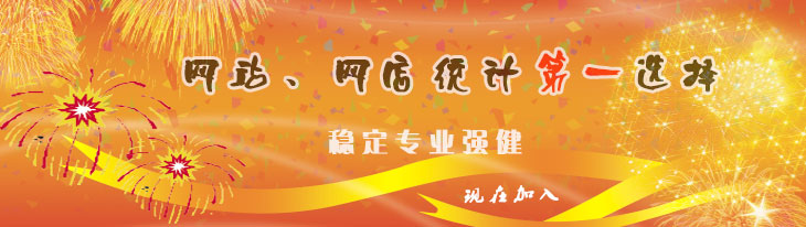 站长流量统计