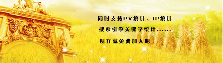 站长流量统计